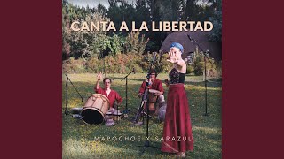 Video thumbnail of "Mapochoe - Canta a la Libertad"