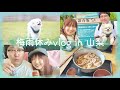【vlog】村上いくら夫婦 梅雨休みに山梨旅へ行くの巻