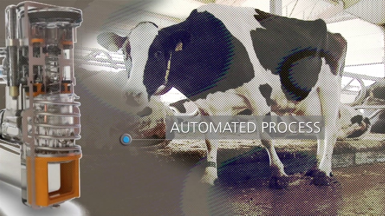 GEA Dairy Farming ApolloSystem for automated and conventional milking