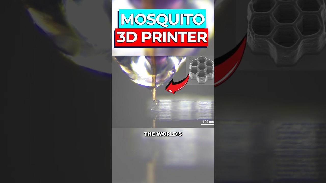 Scientists Turn Mosquito Into Smallest 3D Printer
