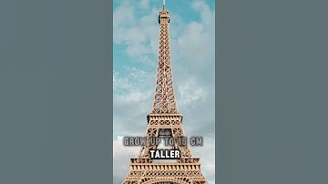 This is Pretty Interesting #shorts