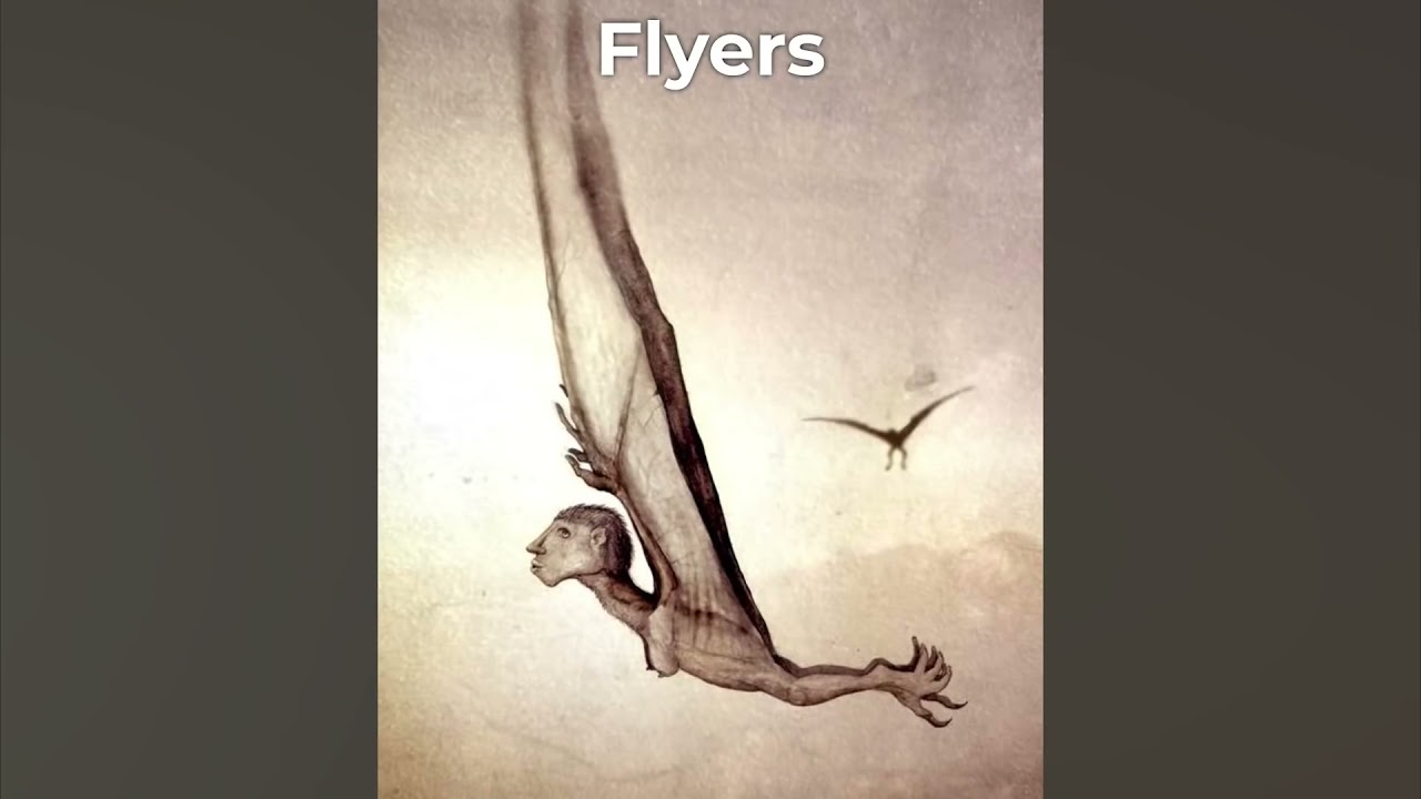 All Tomorrows  the future of humanity