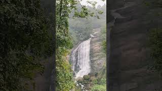 Munnar - Kerala 