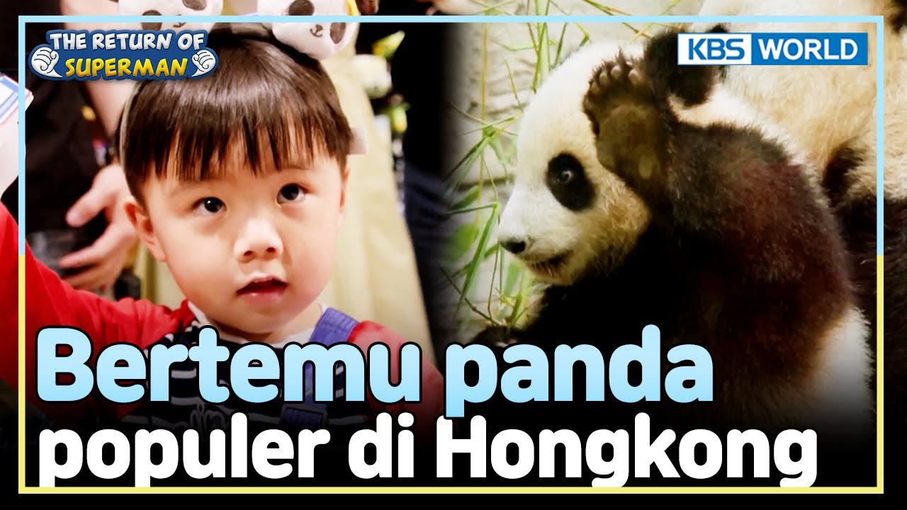 [IND/ENG] Kenangan yang Bakal Siwoo Ingat Terus 😍 | The Return of Superman | KBS WORLD TV 250518