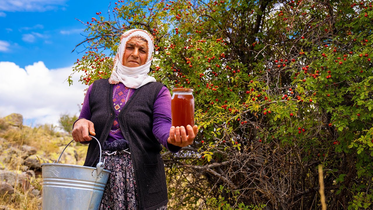 Мы собрали шиповник на горе и сварили из него варенье — жизнь в каменном доме