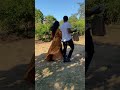 She did NOT expect this! | Surprise Picnic Proposal