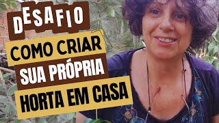 Desafio Como Criar Sua Própria Horta Em Casa.