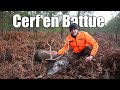 Très joli Cerf en Battue - Émotions fortes - Chasse des Grands Cervidés - Chasse HD