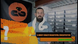 TOP 5 MOST CRAZY/BEAUTIFUL/UNEXPECTED MORPH COMBOS in my entire ball python collection!!! Net Worth