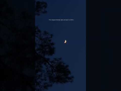 This Ringtone Literally Takes Me Back To 2018 Mahir Bela 2018 Naagin 3 Naagin3 Behir Tone