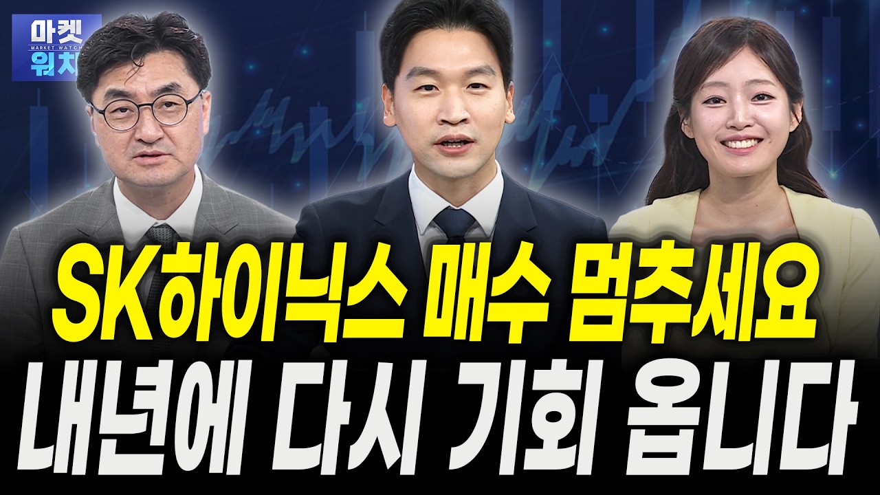 SK하이닉스·삼성전자보다 강합니다, 곧 '300만원' 갑니다ㅣ이완수 그레너리투자자문 대표