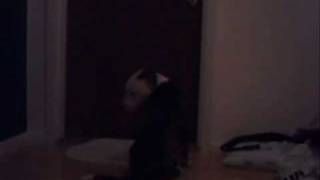 Liston Home Alone For The First Time