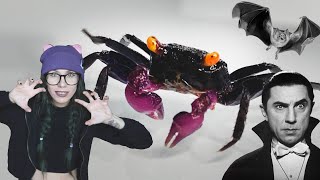 getting VAMPIRE CRABS! They do NOT SUCK (blood)!.. Spooky, EASY, FUN pet inverts | simplified set-up