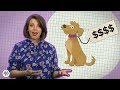 Financial Aspects of Pet Ownership