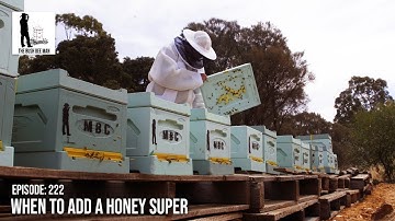 When to add a Honey Super - The Bush Bee Man