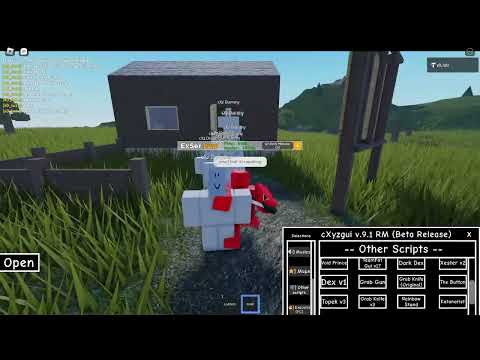 How to execute serverside scripts in Roblox (Console edition)