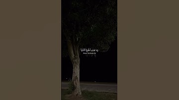 #سورة_العنكبوت #قرآن #الشيخ #ياسر_الدوسري #quran #تلاوة_خاشعة #ترتيل #explore #music