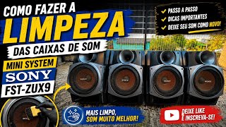 SIMPLE CLEANING OF THE SONY FST-ZUX9 SPEAKERS I SCORED: STEP-BY-STEP