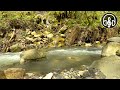 Sounds of a mountain river. 6 Hours for relaxation, meditation and sleep.