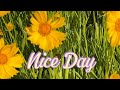 It's windy and sunny ,reducing stress and boosting mood with flowers_by Eli Ventayen