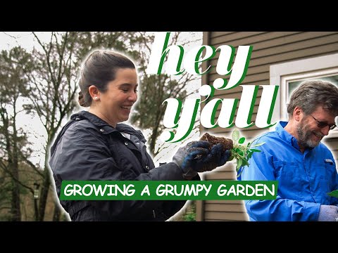 Becoming Gardener No Dig Vegetable Garden With A Tiny House