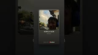 GORILLA SLOB @prod.theuzz011