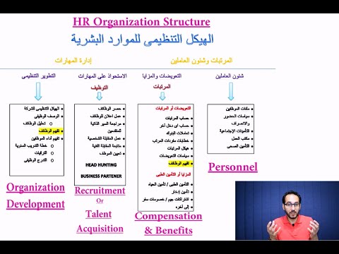 فيديو: ما هو هيكل OU؟