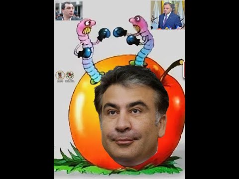 მიშა სააკაშვილის მონა\"ღვთისა\" გიორგი ბარამიძე.პუჩისტების განხეთქილების სააკაშვილის ვაშლი !))