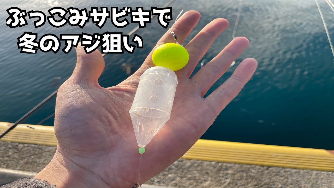 Targeting winter horse mackerel with a sabiki - YouTube