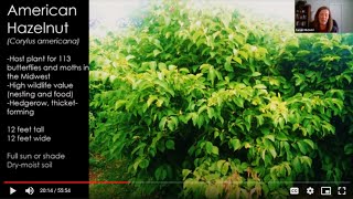 Native Trees and Shrubs for the Home Landscape