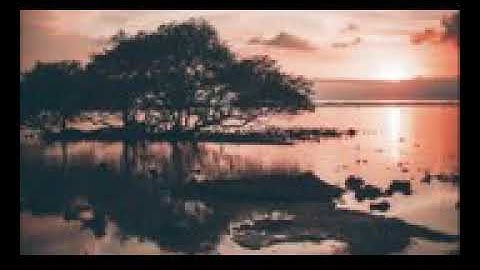 اجمل تلاوة خاشعة تنسيك هم الدنيا