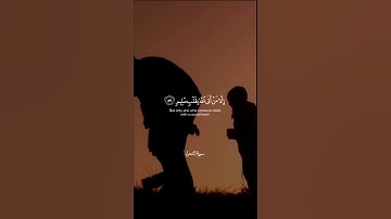 يوم لا ينفع مال ولا بنون القارئ يوسف الصقير