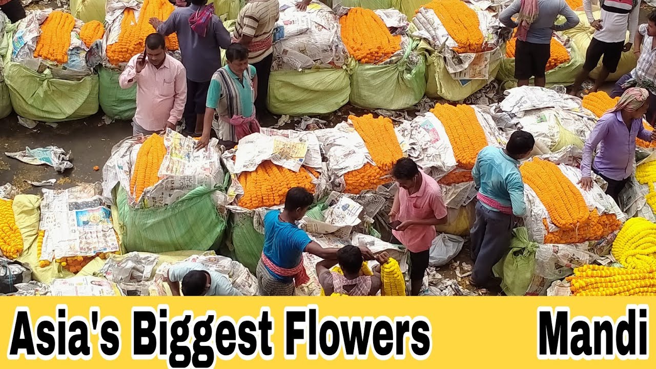 Asia's Biggest Flowers Market Kolkata Biggest Flower Wholesale Market