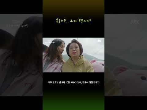 효리야 진심이냐고🤣 #엄마단둘이여행갈래 #shorts