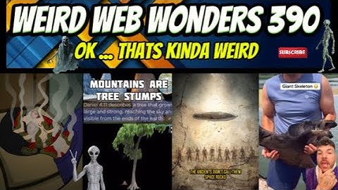 weird web wonders 390