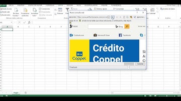 Importar y Actualizar Datos desde una página web a excel