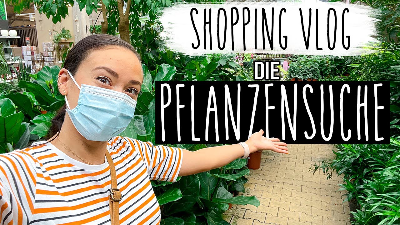 PFLANZEN SHOPPING für das Haus | Wir suchen eine 3 Meter RIESEN Pflanze🌱 😱