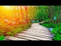 Music for sleeping meditation music soothing sleep music soft music relaxing sleep music