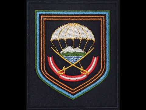 108 десантно-штурмовой полк