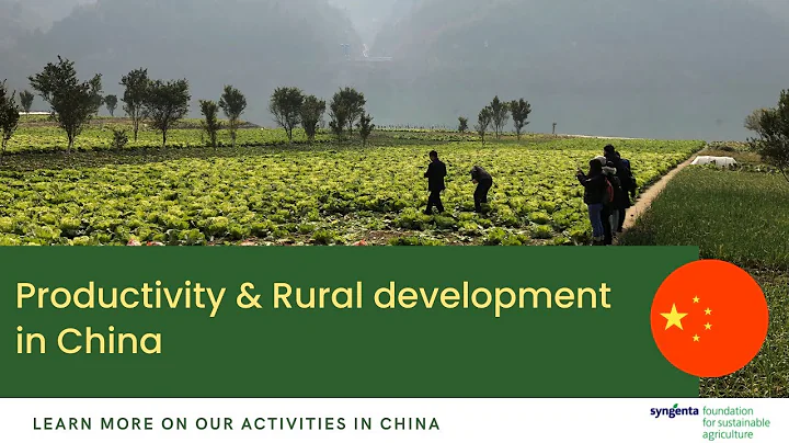 China: Productivy & Rural development - DayDayNews