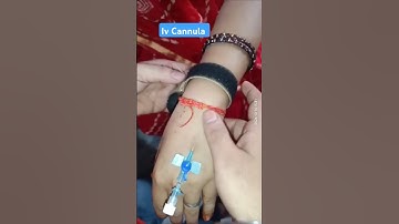 IV Cannulation Procedure | Iv cannula insert | Cannulation procedure #ivinjection #ivcannulation #iv