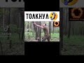 Лучшие приколы, Русские приколы, Свежие приколы, Ржака до слез.#приколы#лучшие приколы#ржачныеприкол