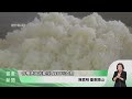 關山米廠進口越南黑糙米 農藥殘留全退運【客家新聞20260521】