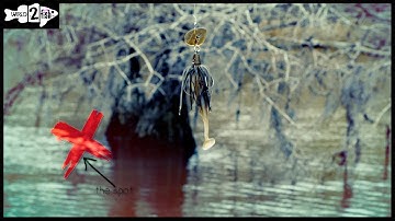 How to Drive-by Cast Trees for Landing Baits on Target