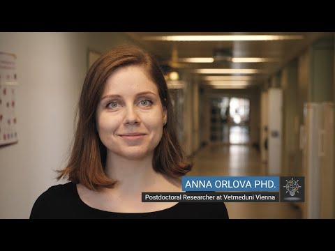 Anna Orlova about targeting STAT5 oligomerization in leukemia // entrepreneurial vetmed