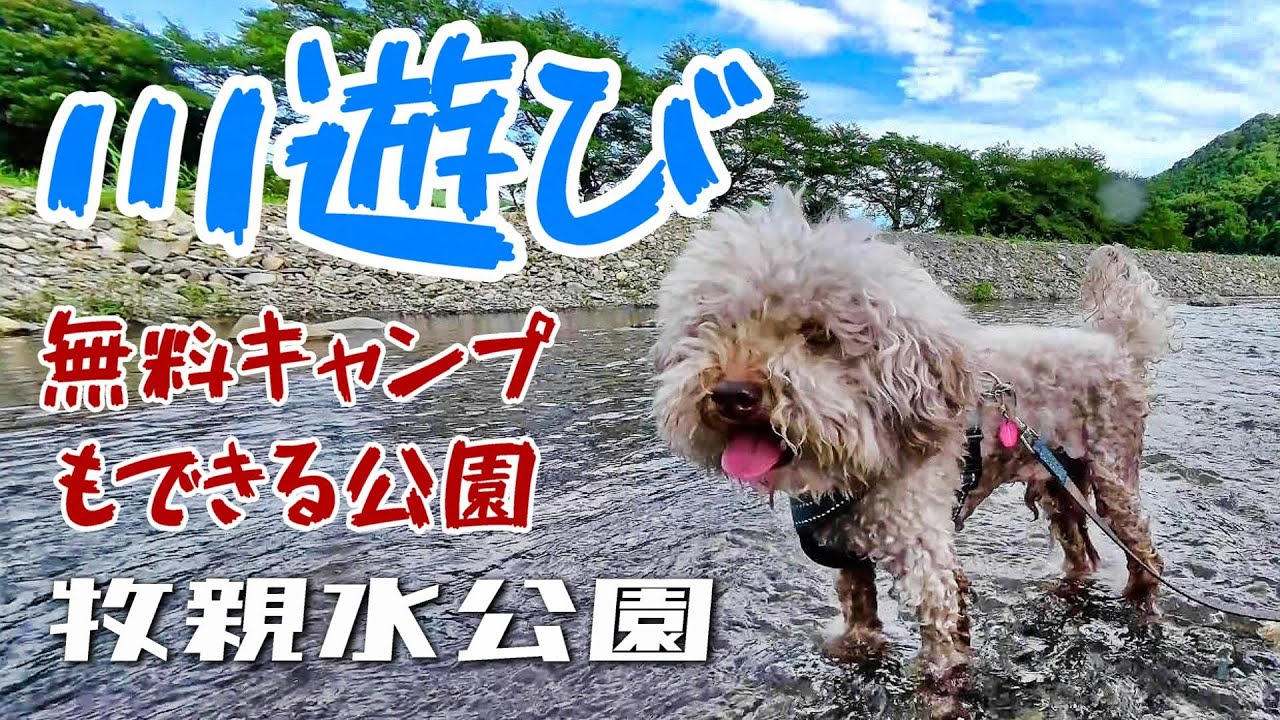 牧 親水 公園