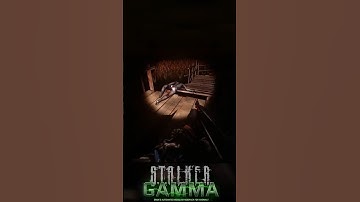 S.T.A.L.K.E.R. GAMMA  #16 #stalkergamma #stalkeranomaly #stalker2 #stalkergameplay #gameplay #mods
