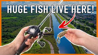Can I Catch The KING of CANAL MONSTERS?!? by FloBass 632 views 4 months ago 18 minutes