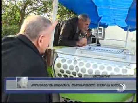 კოოპერატივს ციტრუსის დამხარისხებელი ტექნიკა გადაეცა