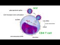 Human Immunodeficiency Virus (HIV)